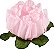 Forminha para Doces Finos - Rosa Maior Rosa Bebe 40 unidades - Decora Doces - Rizzo Festas - Imagem 1