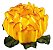 Forminha para Doces Finos - Rosa Maior Amarelo Queimado - 40 unidades - Decora Doces - Imagem 1