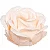 Forminha para Doces Finos - Magnólia Champagne- 30 unidades - Decora Doces - Rizzo Festas - Imagem 1