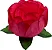 Forminha para Doces Finos - Bela Salmao - 40 unidades - Decora Doces - Rizzo Festas - Imagem 1