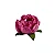 Forminha para Doces Finos - Bela Rose 40 unidades - Decora Doces - Rizzo Festas - Imagem 1
