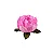Forminha para Doces Finos - Bela Rosa Claro 40 unidades - Decora Doces - Rizzo Festas - Imagem 2