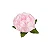Forminha para Doces Finos - Bela Rosa Bebe 40 unidades - Decora Doces - Rizzo Festas - Imagem 2