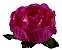 Forminha para Doces Finos - Bela Pink 40 unidades - Decora Doces - Imagem 1