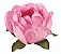 Forminha para Doces Finos - Bela Perola  40 unidades - Decora Doces - Rizzo Festas - Imagem 1