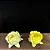 Forminha para Doces Finos - Bela Duo Amarelo Claro e Amarelo Bebê - 20 unidades - Decora Doces - Rizzo Festas - Imagem 2