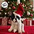 Cachorro Bulldog - Decoração de Natal - sem Movimento - Branco/Preto - 1 unidade - Cromus - Rizzo - Imagem 7