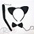 Kit Fantasia de Carnaval - Gatinho - Preto  - Mod:378 - 01 unidade - Rizzo - Imagem 1