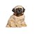 Enfeite Decorativo Pelúcia Cachorro Pug - Bege - 01 unidade - Cromus - Rizzo - Imagem 1