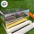 Caixa Ovo de Colher Duplo - Meio Ovo de 100g a 150g - 20cm x 13cm x 8,8cm - Ouro - 5unidades - Assk - Páscoa Rizzo Embal - Imagem 9
