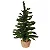 Mini Pinheiro Verde Base Juta 60cm - 01 unidade - Cromus Natal - Rizzo - Imagem 1