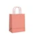 Sacola de Papel G 32x26,5x13cm - Coral - Fundo Largo - 10 unidades - Cromus - Rizzo - Imagem 1