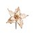 Flor Cabo Curto Poinsettia Nude Brilhante com Glitter 25cm - 01 unidade - Cromus Natal - Rizzo Embalagens - Imagem 1