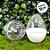 Caixa com 10 Mini Ovos de Plástico Branco e Transparente - 10 unidades - Rizzo - Imagem 3