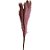 Galho Pampa Permanente - 45cm - Rosa - 1 unidade - Rizzo - Imagem 1