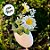 Pick Decorativo de Páscoa - Casca e Flores Branco - 28cm  - 1 unidade - Rizzo - Imagem 3