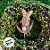 Pick Decorativo Coelho Marrom Ninho de Páscoa - 29,5cm  - 1 unidade - Rizzo - Imagem 4