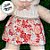 Coelha de Pelúcia com Vestido Florido - 36cm - 1 unidade - Rizzo - Imagem 3