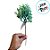 Pick Decorativo - Folhas com Neve - 1 unidade - Cromus - Rizzo - Imagem 3