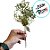 Pick Decorativo - Frutas e Pinhas Champagne - 32cm - 1 unidade - Cromus - Rizzo - Imagem 3