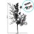 Pick Decorativo - Frutas Vermelhas - 23cm - 1 unidade - Cromus - Rizzo - Imagem 2