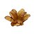 Forminha para Doces Finos - Estrela do Mar Mostarda - 20 unidades - Decora Doces - Rizzo - Imagem 1
