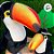 Tucano de Pelúcia - 18cm - 1 unidade - Rizzo - Imagem 5