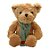Urso de Pelúcia Cachecol Coração - Verde - 23cm - 1 unidade - Rizzo - Imagem 1