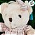 Urso de Pelúcia com Vestido Xadrez - Rosa - 37cm - 1 unidade - Rizzo - Imagem 3