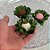 Forminha para Doces Finos - Madri Pistache - 30 unidades - Decora Doces - Rizzo - Imagem 3