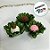 Forminha para Doces Finos - Madri Pistache - 30 unidades - Decora Doces - Rizzo - Imagem 6