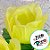 Forminha para Doces Finos - Rainha Cor Amarelo Claro - 30 unidades - Decora Doces - Rizzo - Imagem 2