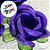 Forminha para Doces Finos - Rainha Cor Roxo - 30 unidades - Decora Doces - Rizzo - Imagem 2