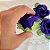 Forminha para Doces Finos - Rainha Cor Roxo - 30 unidades - Decora Doces - Rizzo - Imagem 3