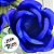 Forminha para Doces Finos - Rainha Cor Azul Royal - 30 unidades - Decora Doces - Rizzo - Imagem 2