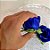Forminha para Doces Finos - Rainha Cor Azul Royal - 30 unidades - Decora Doces - Rizzo - Imagem 3