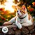 PetCode - Patinha De Gato - 3,5x3cm - 1 unidade - Rizzo - Imagem 3