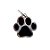 PetCode - Patinha De Gato - 3,5x3cm - 1 unidade - Rizzo - Imagem 5