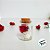 Potinho de Vidro com Tampa de Rolha - 3x2cm - 5ml - 12 unidades - Rizzo - Imagem 5