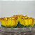 Forminha para Doces Finos - Rosa Maior Amarelo Queimado - 30 unidades - Decora Doces - Rizzo - Imagem 1