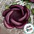 Forminha para Doces Finos - Rainha Malva Escuro - 30 unidades - Decora Doces - Rizzo - Imagem 2