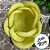 Forminha para Doces Finos - Rainha Amarelo Oliva Claro - 30 unidades - Decora Doces - Rizzo - Imagem 2