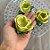 Forminha para Doces Finos - Rainha Amarelo Oliva Claro - 30 unidades - Decora Doces - Rizzo - Imagem 3