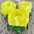 Forminha para Doces Finos - Rosa Maior Amarelo Claro - 30 unidades - Decora Doces - Rizzo - Imagem 1