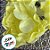 Forminha para Doces Finos - Rosa Maior Amarelo Bebe - 30 unidades - Decora Doces - Rizzo - Imagem 2