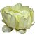 Forminha para Doces Finos - Rosa Maior Amarelo Bebe - 30 unidades - Decora Doces - Rizzo - Imagem 5