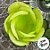Forminha para Doces Finos - Rainha Amarelo Siciliano - 30 unidades - Decora Doces - Rizzo - Imagem 2