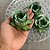 Forminha para Doces Finos - Rainha Pistache Clarissimo - 30 unidades - Decora Doces - Rizzo - Imagem 3