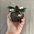 Enfeite Decorativo De Natal - Sino Marrom - 8cm - 1 unidade - Rizzo - Imagem 3