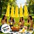 Franja Decorativa De Papel - Amarelo - 25x35cm - 5 unidades - Mesa Festa - Rizzo - Imagem 4
